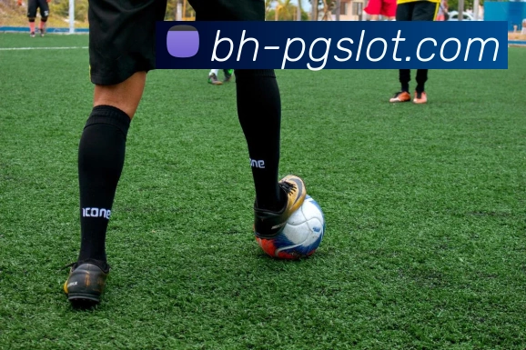 麻将胡了PG官网APP 体育赛事宣传图